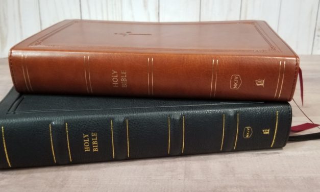 NKJV Personal Size Large Print Reference Bible