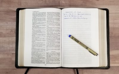 CBP Interleaved Bible Review