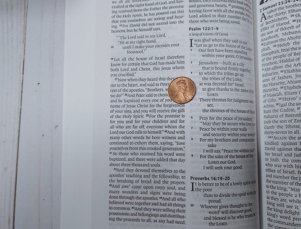 ESV One Year Bible Review - Bible Buying Guide