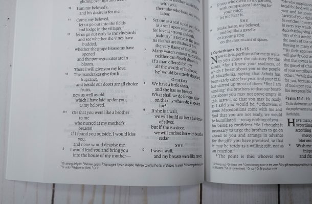 ESV One Year Bible Review - Bible Buying Guide