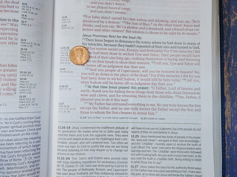 NLT Life Application Study Bible Large Print Text