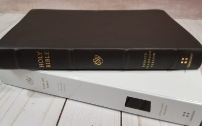 ESV Thinline Bible in Buffalo Leather