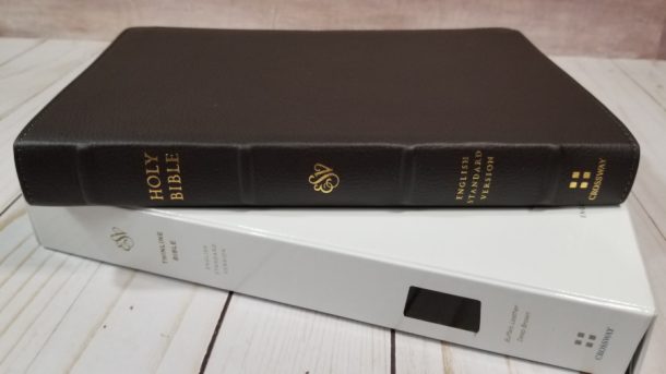 ESV Thinline Bible In Buffalo Leather - Bible Buying Guide