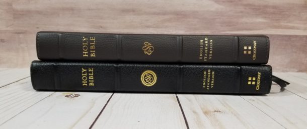 ESV Thinline Bible In Buffalo Leather - Bible Buying Guide