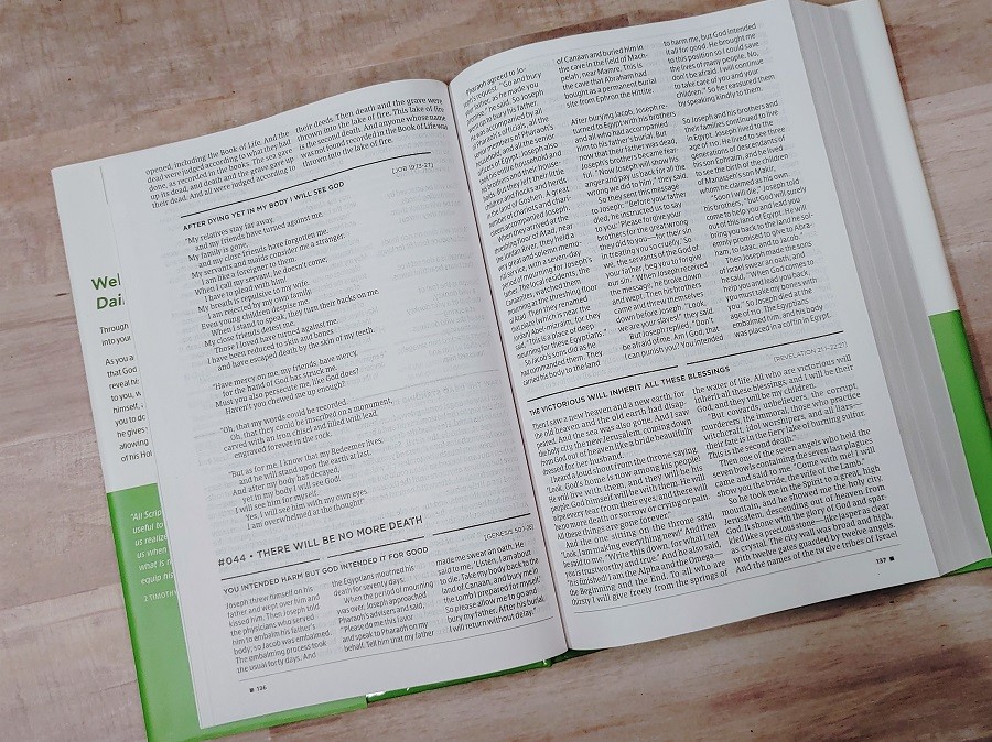NLT Daily Reader's Bible