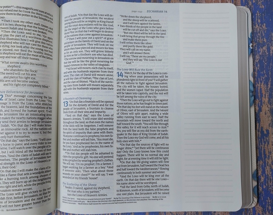 Thrive Creative Journaling Devotional Bible Layout