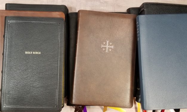 12 Bibles for Christmas 2020