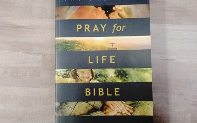 NLT One Year Pray for Life Bible Review