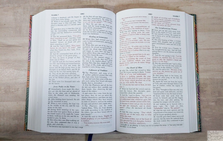 NASB Children's Edition Bible Text