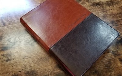 KJV Life Application Study Bible Review