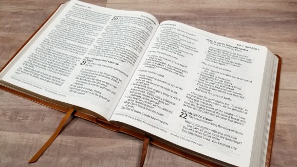 NASB 1995 XL Bible - Bible Buying Guide