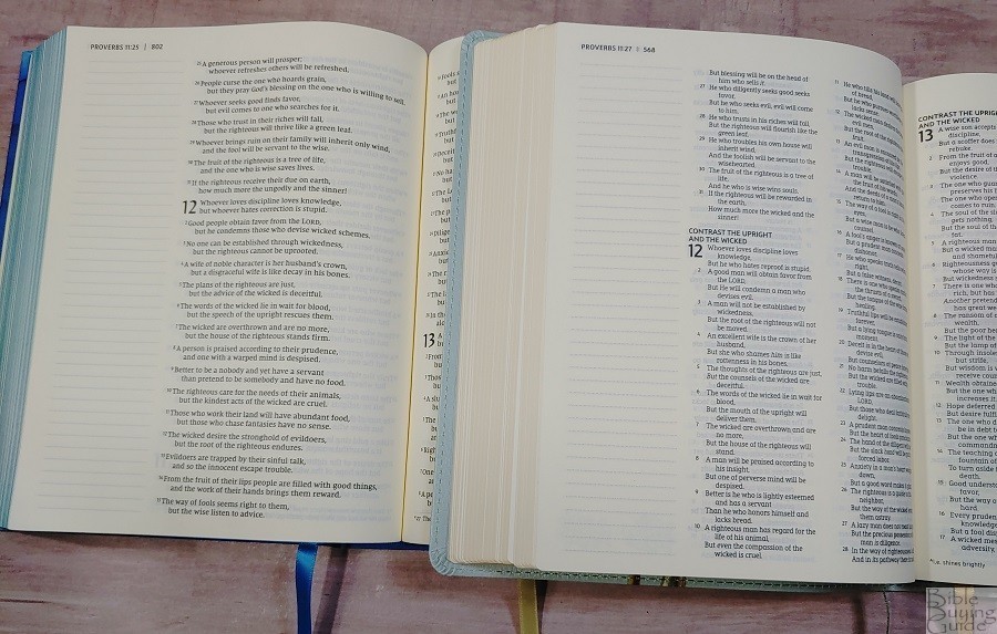 NASB and NIV Artisan Collection Bibles Pages