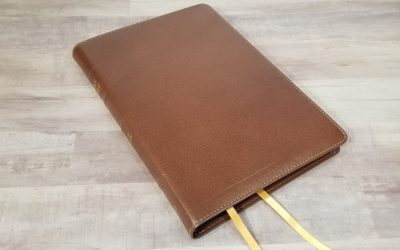 CBP Thinline Bible Review