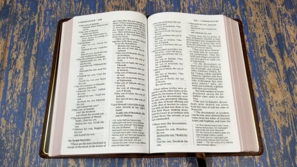 NIV Large-Print Personal-Size Bible - Bible Buying Guide