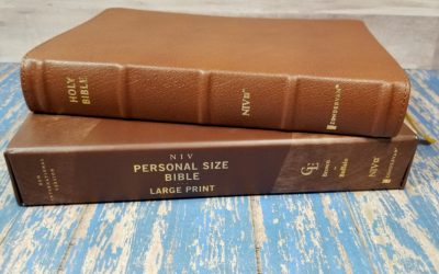 NIV Large-Print Personal-Size Bible
