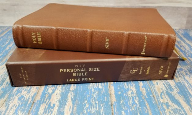 NIV Large-Print Personal-Size Bible