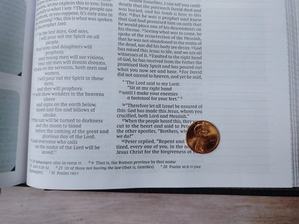 NIV Verse Mapping Bible Review - Bible Buying Guide