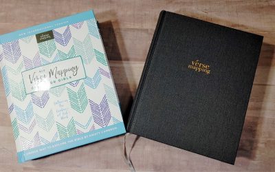 NIV Verse Mapping Bible Review