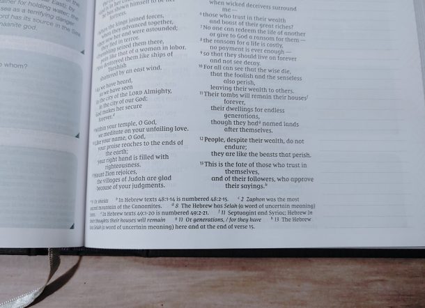 NIV Verse Mapping Bible Review - Bible Buying Guide