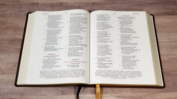 NKJV Large Print Wide Margin Reference Bible - Bible Buying Guide