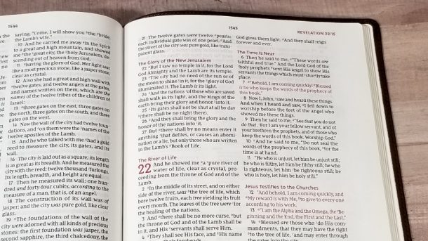 NKJV Large Print Wide Margin Reference Bible - Bible Buying Guide