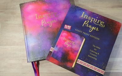 NLT Giant Print Inspire Prayer Bible Review
