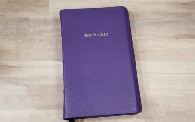 Purple Sully Goatskin Bible Rebind from AE Bibles