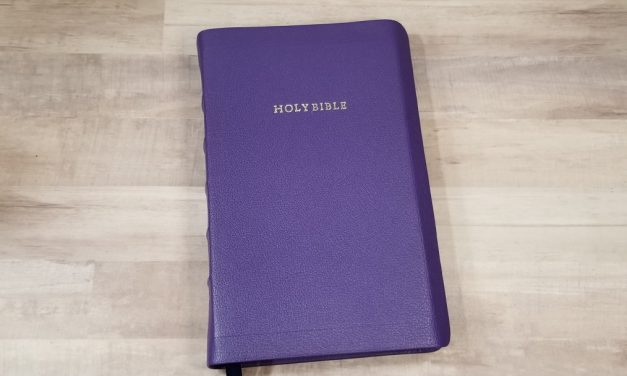 Purple Sully Goatskin Bible Rebind from AE Bibles