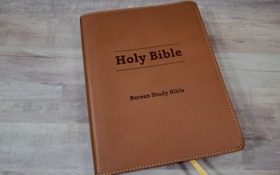 Berean Study Bible Review