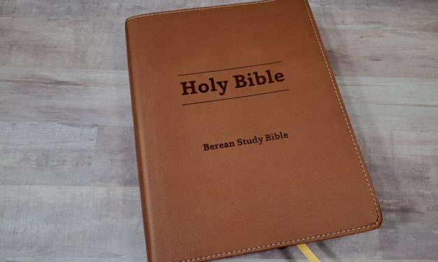 Berean Study Bible Review
