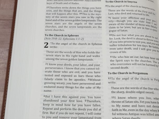 Berean Study Bible Review - Bible Buying Guide