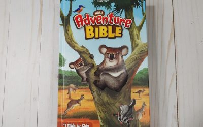 NASB Adventure Bible