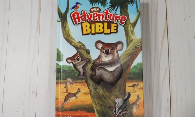 NASB Adventure Bible