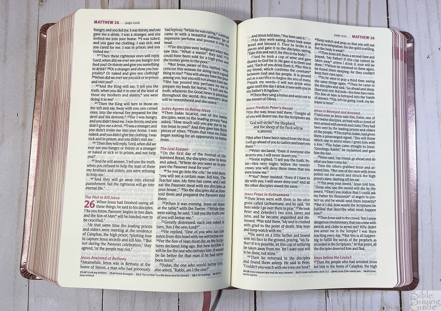 Thrive Devotional Bible Paper