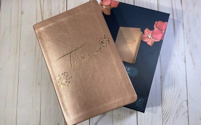 NLT Thrive Devotional Bible for Women