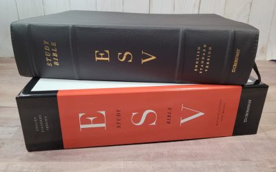 Crossway’s ESV Study Bible in Deep Brown Buffalo Leather