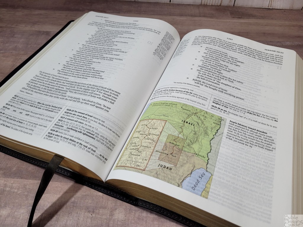 ESV Study Bible in Deep Brown Buffalo Leather