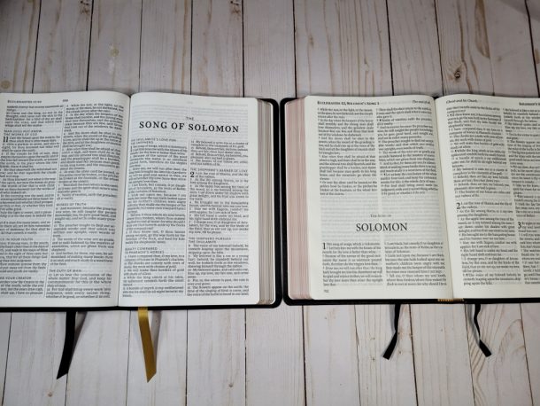 KJV Vintage Series Bibles From Thomas Nelson - Bible Buying Guide