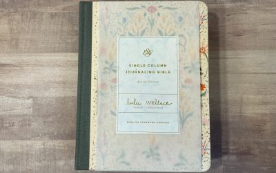ESV Artist Series Journaling Bible