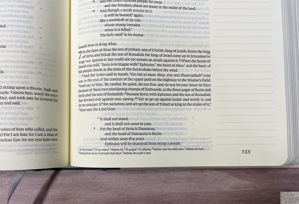 ESV Artist Series Journaling Bible footnotes