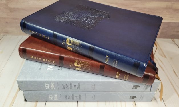 NET Bible Large Print Thinline Art Edition Review