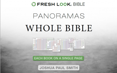 Fresh Look Bible Review