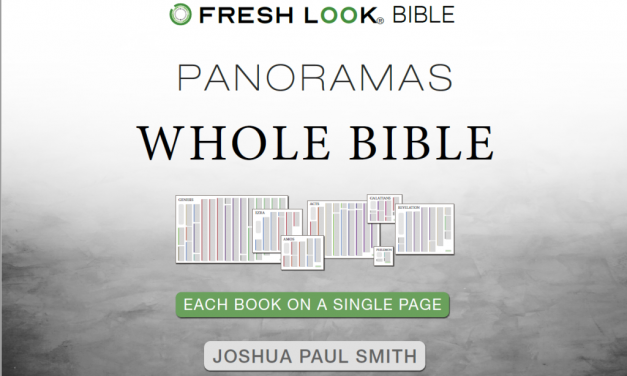 Fresh Look Bible Review