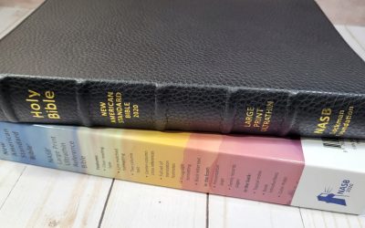 Lockman NASB 2020 Large Print Ultrathin Reference Bible in Calfskin Review