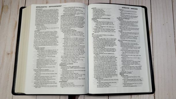 Lockman NASB 2020 Large Print Ultrathin Reference Bible in Calfskin ...