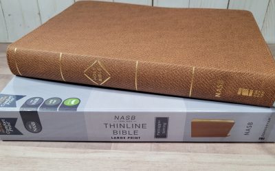 NASB Passaggio Setting Large Print Thinline Bible Review