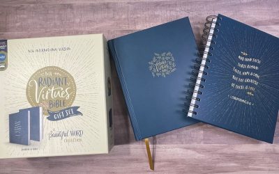 NIV Radiant Virtues Bible Gift Set