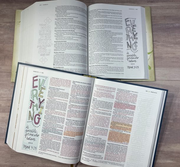 NIV Radiant Virtues Bible Gift Set Bible Buying Guide