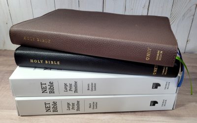 NET Bible Large Print Thinline in Genuine Leather