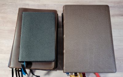 My Favorite Bibles of 2021